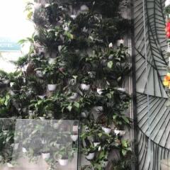 Nature Hotel балкон