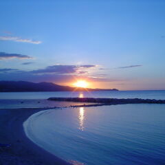 Отель Captain's Cove Beach Resort & Villas бассейн