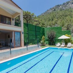 Alya Villa Hotel бассейн фото 3