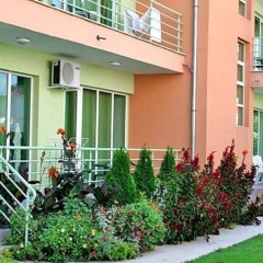 Hotel Palma All Inclusive Солнечный берег фото 5