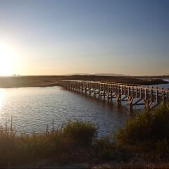 Отель VidaMar Algarve Resort фото 6