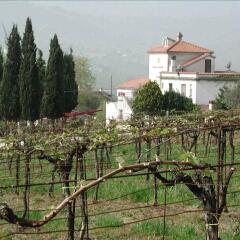 Отель Pier Delle Vigne B&B Италия, Пинето - отзывы, цены и фото номеров - забронировать отель Pier Delle Vigne B&B онлайн детские мероприятия
