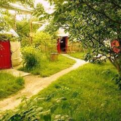 Отель Turkestan Yurt Camp Кыргызстан, Каракол - отзывы, цены и фото номеров - забронировать отель Turkestan Yurt Camp онлайн фото 8