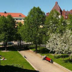 Wasa Park Hotel детские мероприятия