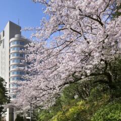 Отель Prince Sakura Tower Токио фото 3