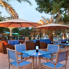 Отель Radisson Blu Hotel & Resort ОАЭ, Эль-Айн - отзывы, цены и фото номеров - забронировать отель Radisson Blu Hotel & Resort онлайн питание