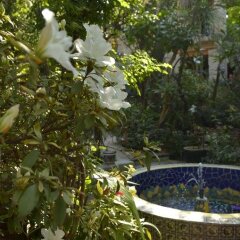 Отель Casa de las Flores Мексика, Тлакуепакуе - отзывы, цены и фото номеров - забронировать отель Casa de las Flores онлайн фото 12