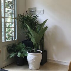 Отель Ace Home Viet Nam интерьер отеля