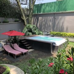 Отель Pug Seal B&B Coyoacan Мексика, Мехико - отзывы, цены и фото номеров - забронировать отель Pug Seal B&B Coyoacan онлайн фото 5