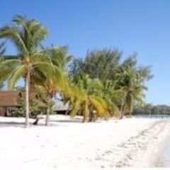 Отель Moorea Sunset Beach Французская Полинезия, Муреа - отзывы, цены и фото номеров - забронировать отель Moorea Sunset Beach онлайн пляж фото 2