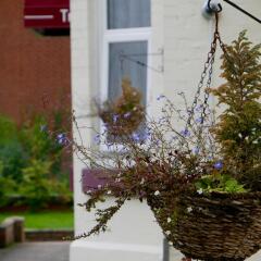 Trivelles Belforte Hotel