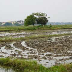 Отель HT Village Villa пляж