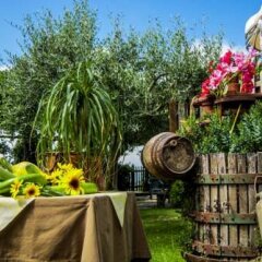 Отель Agriturismo Mare e Monti Аджерола фото 10