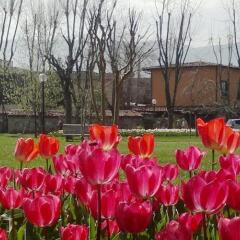 Otantik Club Hotel Турция, Бурса - отзывы, цены и фото номеров - забронировать отель Otantik Club Hotel онлайн фото 11