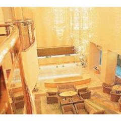 Hotel Green Tower Makuhari Тиба бассейн фото 2