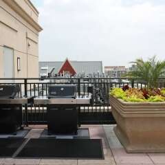 Отель Bluebird Suites in the Heart of DC США, Вашингтон - отзывы, цены и фото номеров - забронировать отель Bluebird Suites in the Heart of DC онлайн фото 5