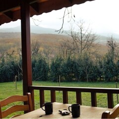 Cevizdibi Otel Турция, Дербент - отзывы, цены и фото номеров - забронировать отель Cevizdibi Otel онлайн фото 13
