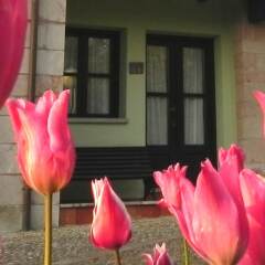 Отель Apartamentos Turísticos Finca Las Nieves фото 11