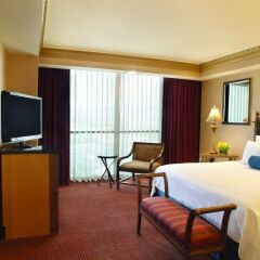 Отель Luxor США, Лас-Вегас - 10 отзывов об отеле, цены и фото номеров - забронировать отель Luxor онлайн удобства в номере
