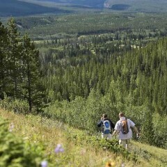 Отель Delta Hotels by Marriott Burnaby Conference Centre Канада, Бурнаби - отзывы, цены и фото номеров - забронировать отель Delta Hotels by Marriott Burnaby Conference Centre онлайн фото 10