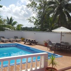 Отель Ocho Rios Almond Tree Villas Ямайка, Очо-Риос - отзывы, цены и фото номеров - забронировать отель Ocho Rios Almond Tree Villas онлайн бассейн фото 2
