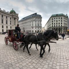Отель Arthotel ANA Katharina с домашними животными
