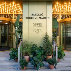 Отель Barcelo Torre de Madrid Испания, Мадрид - 1 отзыв об отеле, цены и фото номеров - забронировать отель Barcelo Torre de Madrid онлайн фото 8