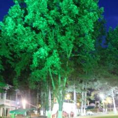 Atliman Beach Park Hotel фото 11