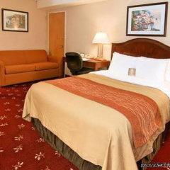 Comfort Inn Shady Grove - Gaithersburg - Rockville in Gaithersburg, United States of America from 124$, photos, reviews - zenhotels.com guestroom photo 2