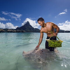 Отель InterContinental Bora Bora Resort and Thalasso Spa Французская Полинезия, Бора-Бора - отзывы, цены и фото номеров - забронировать отель InterContinental Bora Bora Resort and Thalasso Spa онлайн фото 2