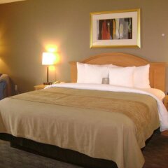 Отель Comfort Inn США, Тусон - отзывы, цены и фото номеров - забронировать отель Comfort Inn онлайн комната для гостей фото 4
