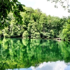 Garden Termal Otel Турция, Болу - отзывы, цены и фото номеров - забронировать отель Garden Termal Otel онлайн приотельная территория