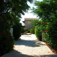 Отель Artisan Resort Кипр, Протарас - отзывы, цены и фото номеров - забронировать отель Artisan Resort онлайн фото 5