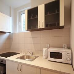 Апартаменты Jezerka Apartments в номере фото 2