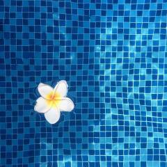 Отель Club Waskaduwa Beach Resort & Spa Шри-Ланка, Ваддува - отзывы, цены и фото номеров - забронировать отель Club Waskaduwa Beach Resort & Spa онлайн детские мероприятия фото 2