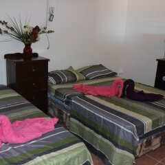 Bachelor Inn Hotel in Belize City, Belize from 94$, photos, reviews - zenhotels.com guestroom photo 3