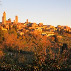 Отель Agriturismo Il Colto Италия, Сан-Джиминьяно - отзывы, цены и фото номеров - забронировать отель Agriturismo Il Colto онлайн приотельная территория фото 2