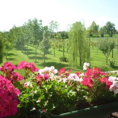 Отель B&B La Fonte Прамаджоре фото 5