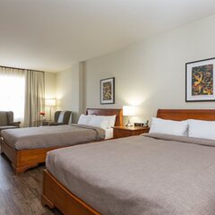 Отель Chateau Laurier Quebec Канада, Квебек - отзывы, цены и фото номеров - забронировать отель Chateau Laurier Quebec онлайн комната для гостей фото 3