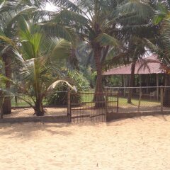 Hotel Star White Negombo спортивное сооружение