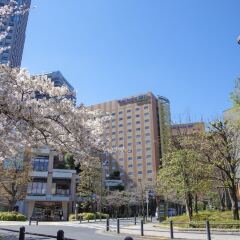Отель Metropolitan Edmont Tokyo Япония, Токио - отзывы, цены и фото номеров - забронировать отель Metropolitan Edmont Tokyo онлайн фото 5