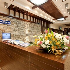 Апартаменты Apartment Tourist Complex & SPA Astera Bansko интерьер отеля