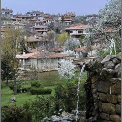 Отель Боярская Дом Велико Тырново фото 5
