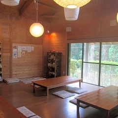Отель Yakushima South Village Якусима интерьер отеля
