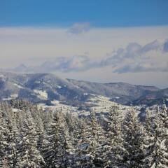Отель Borovets Болгария, Боровец - отзывы, цены и фото номеров - забронировать отель Borovets онлайн