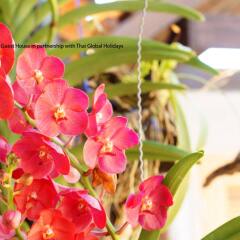 Отель Kantiang Guest House фото 2