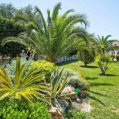 Отель Anna Hotel Греция, Пефкохори - отзывы, цены и фото номеров - забронировать отель Anna Hotel онлайн фото 4