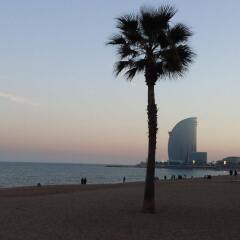 Отель Barceloneta-3 Apartment Испания, Барселона - отзывы, цены и фото номеров - забронировать отель Barceloneta-3 Apartment онлайн пляж