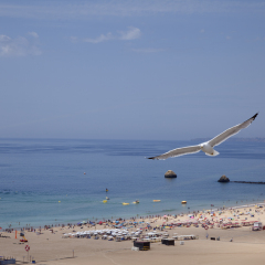 Отель TURIM Algarve Mor Hotel Португалия, Портимао - отзывы, цены и фото номеров - забронировать отель TURIM Algarve Mor Hotel онлайн пляж
