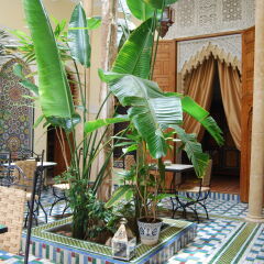Отель Riad Dar Zouhour Марокко, Рабат - отзывы, цены и фото номеров - забронировать отель Riad Dar Zouhour онлайн фото 5